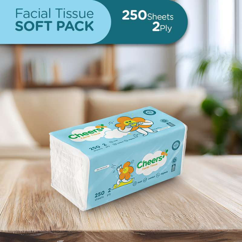 Cheers Facial Tissue 250 Sheets - Image 3
